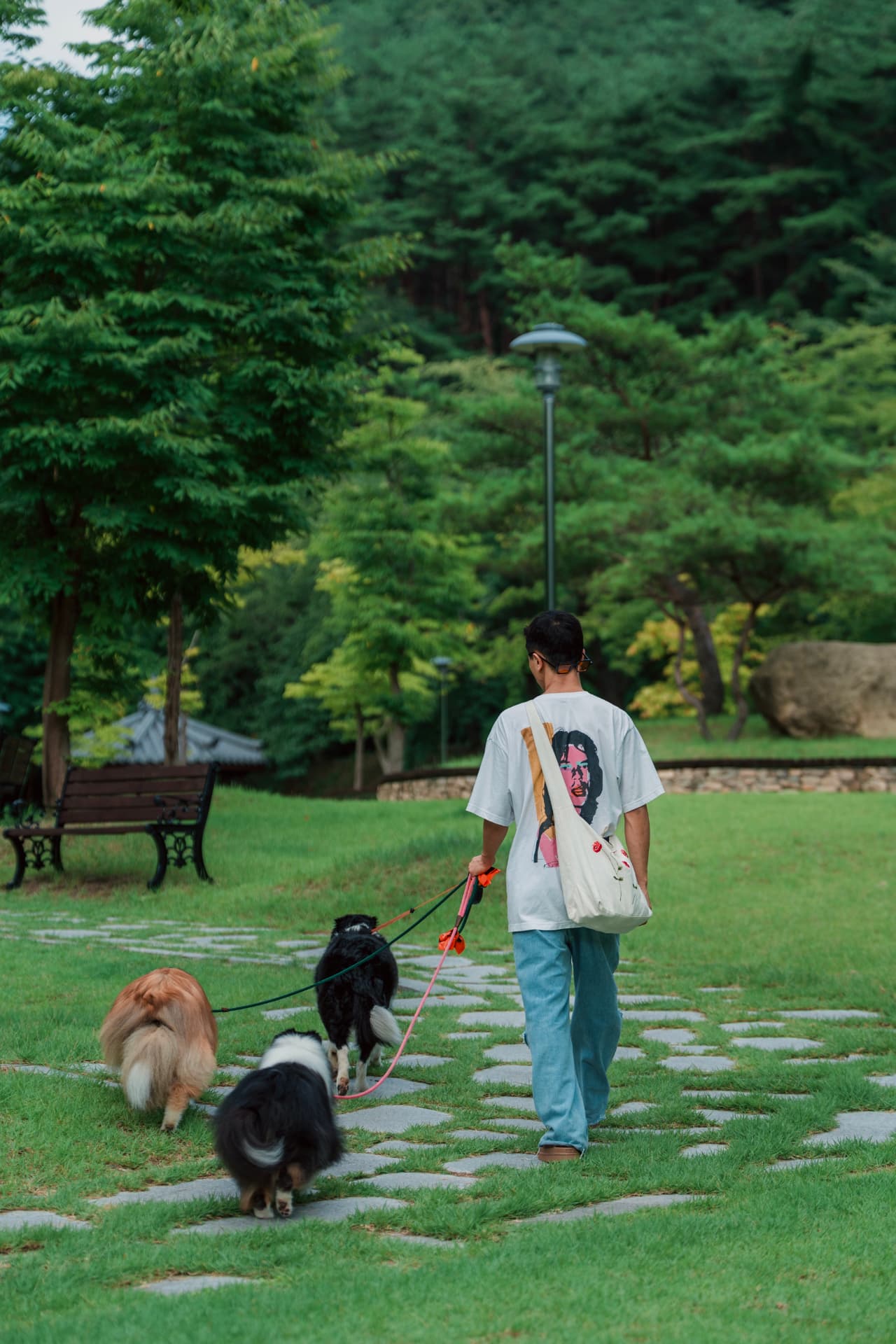 공원 산책길에서 세 마리 반려견과 함께 걷는 복희영
